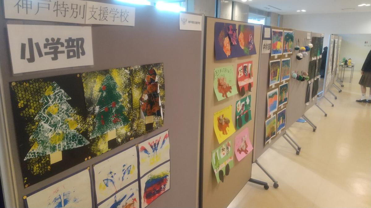 展示の様子