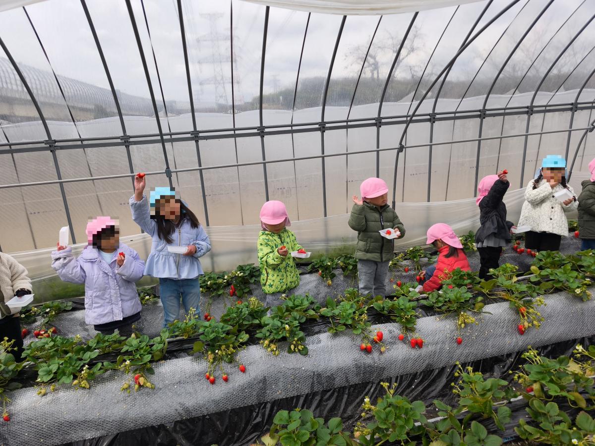 手を挙げた園児