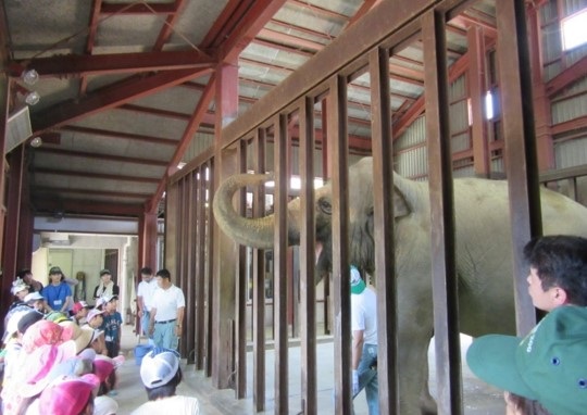 王子動物園