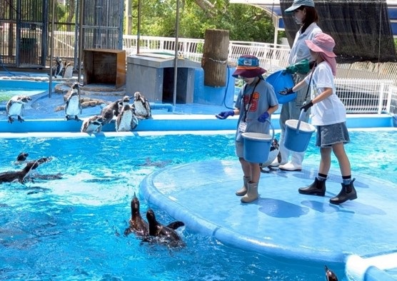 王子動物園2
