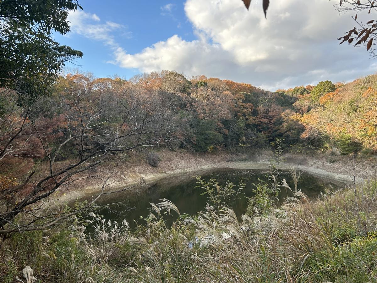 ため池のイメージ写真