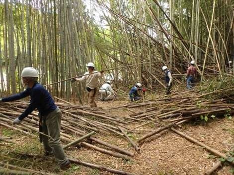 森林整備活動のイメージ写真