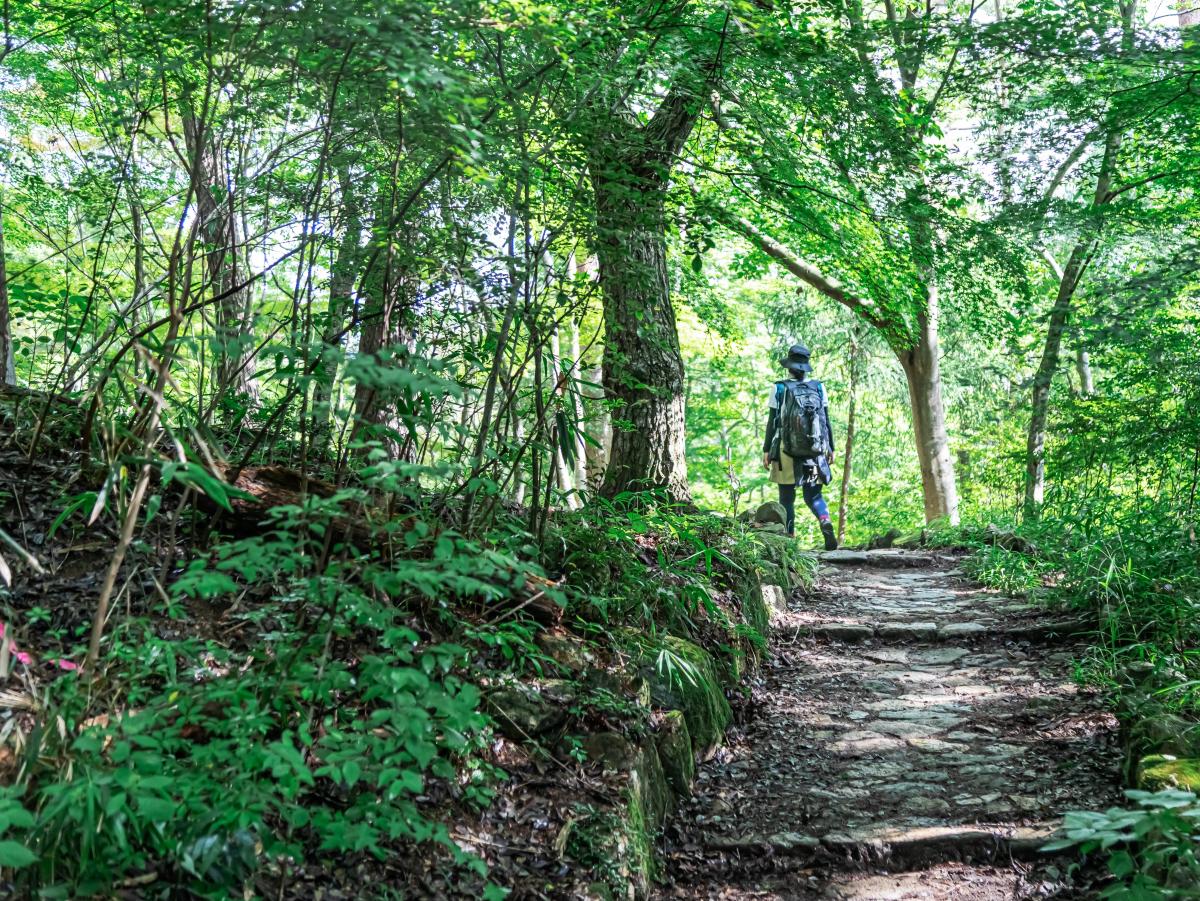 登山の様子の写真