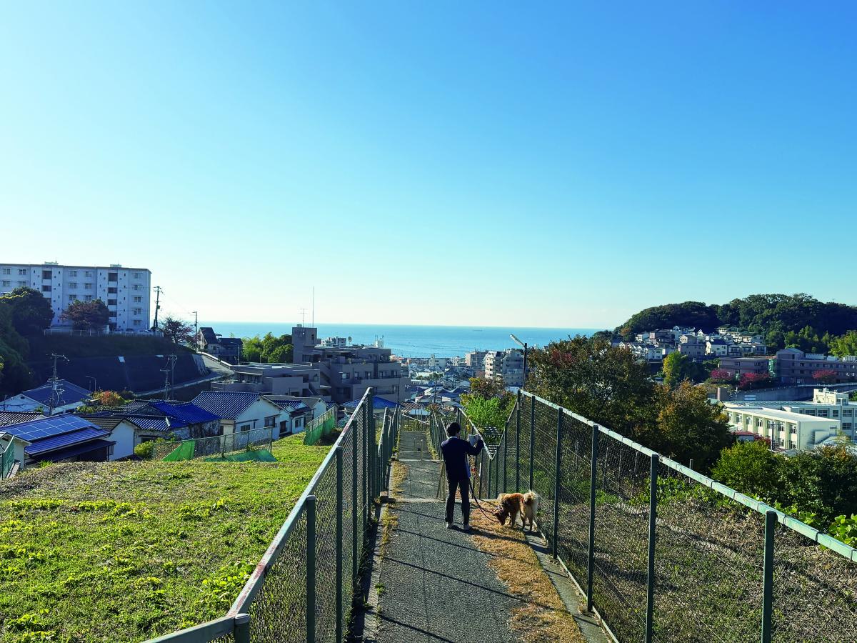 遊休地の緑化のイメージ写真