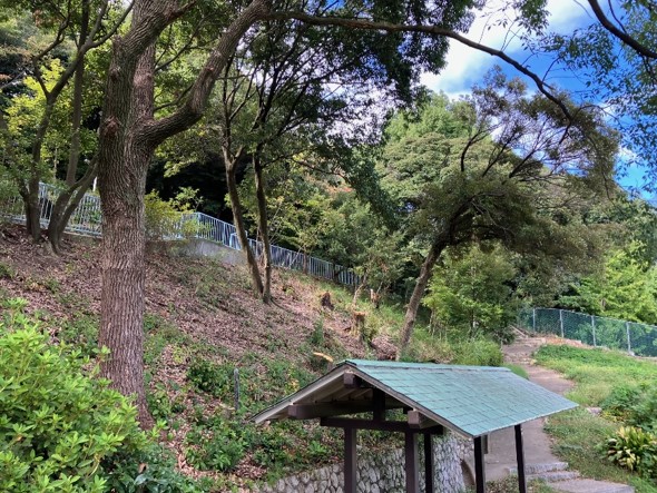 公園樹林再整備後のイメージ写真