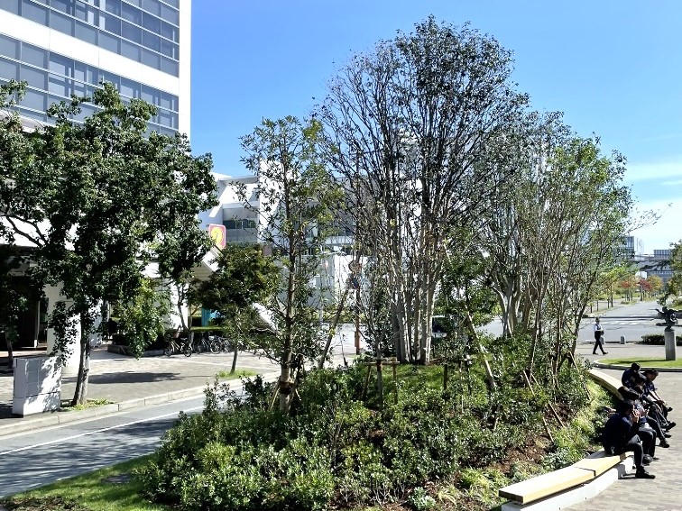 都市部緑化エリアの様子の写真