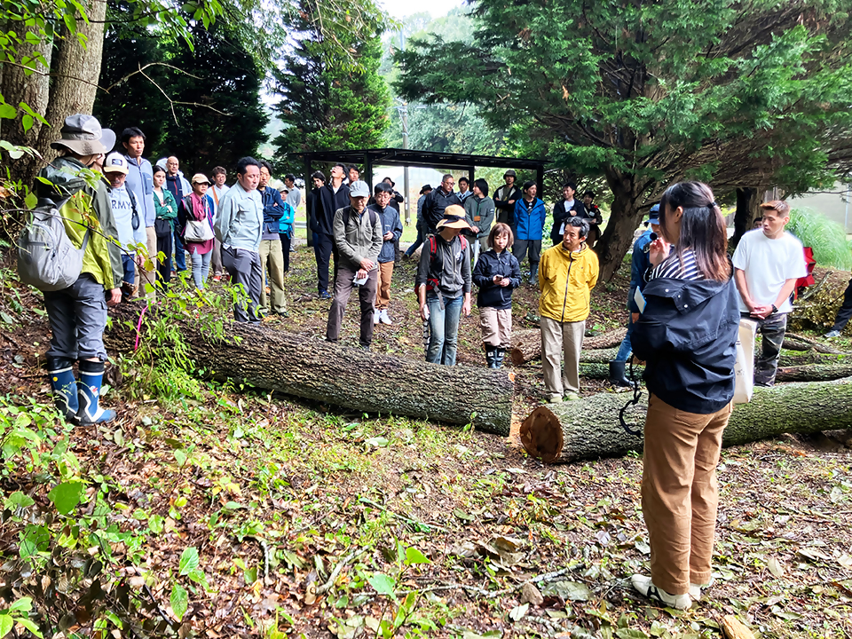 こうべ森と木のプラットフォームイベントの写真