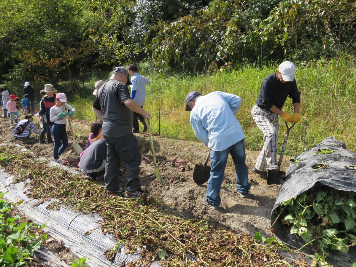 誰でも農園事業のイメージ写真