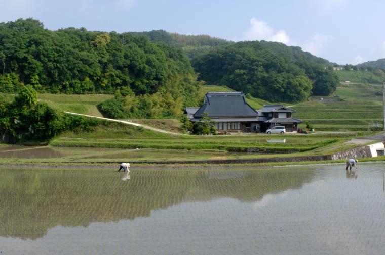 淡河