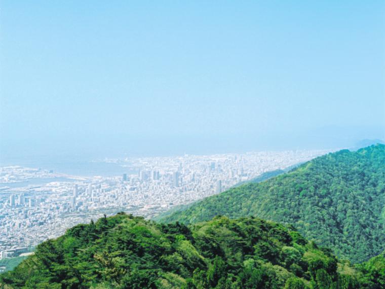 山