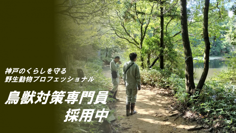 鳥獣対策専門員採用中