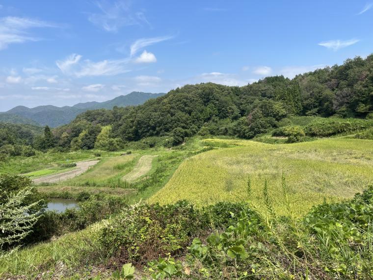 棚田　自然共生サイト