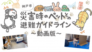 ガイドライン動画版1