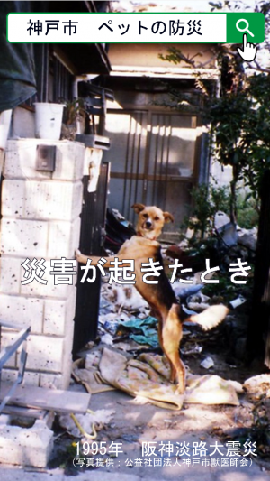 リール動画