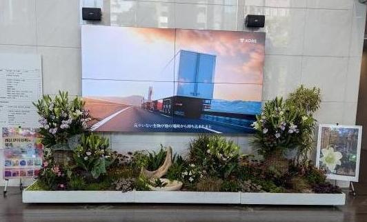 過去の展示