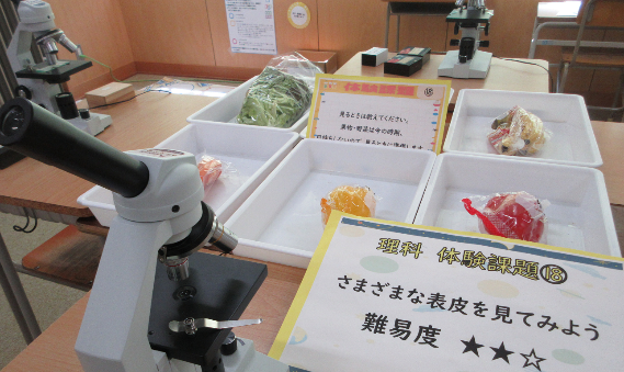 中学④：様々な表皮を顕微鏡で自由に観察