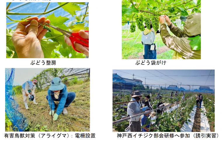 様子