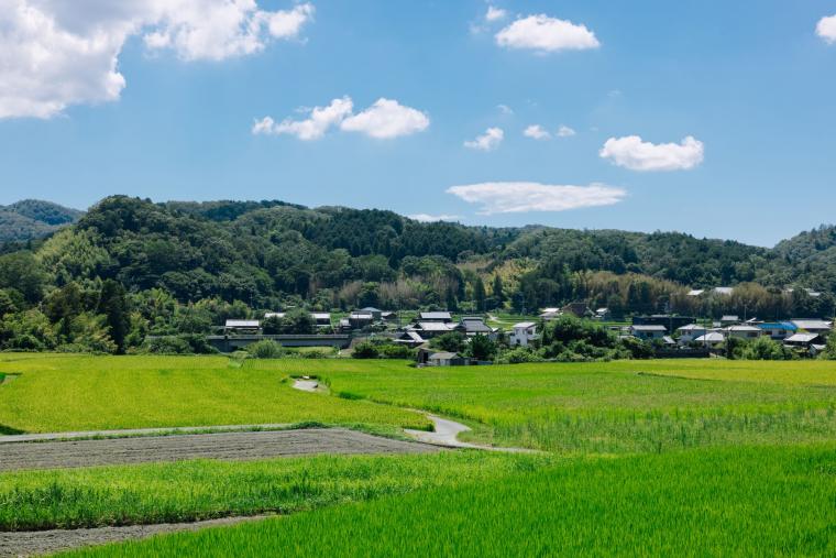 里山の風景