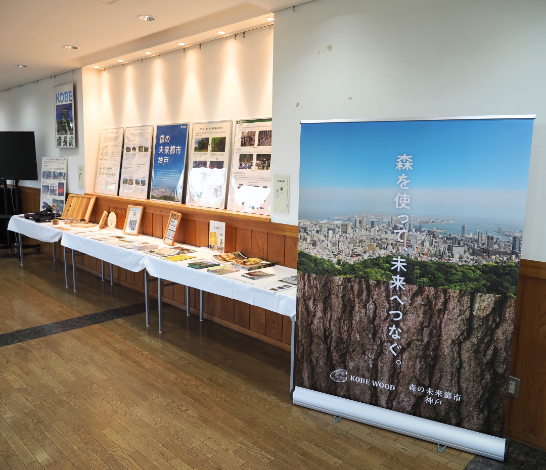 morinogallery