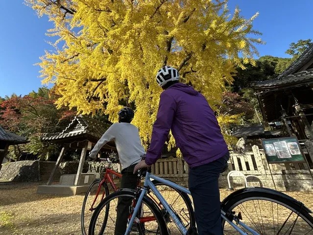 サイクリングのイメージ写真