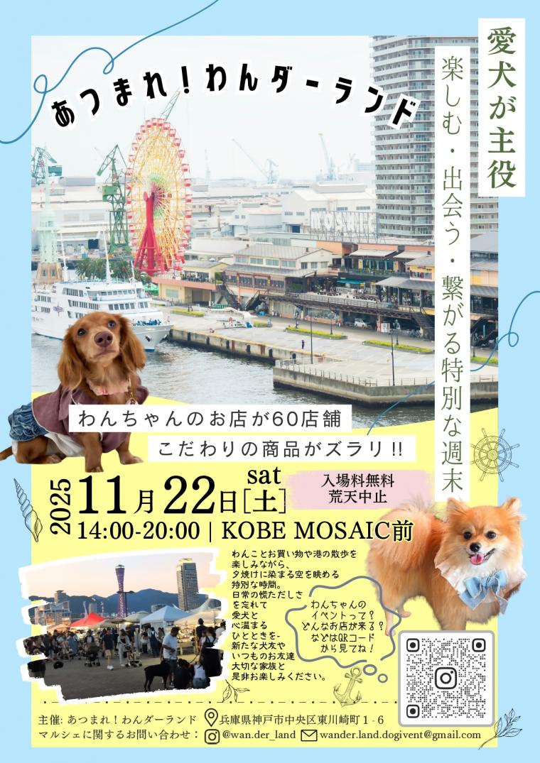 ワンダーランド