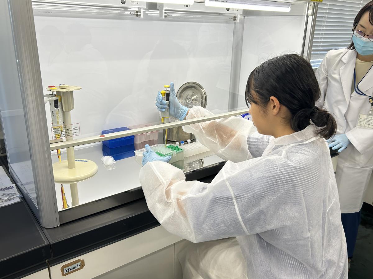 PCR検査体験の写真