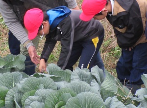 昨年度実施写真