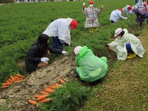 「神戸っ子農業体験ル＊ル＊ルプログラム」の実施