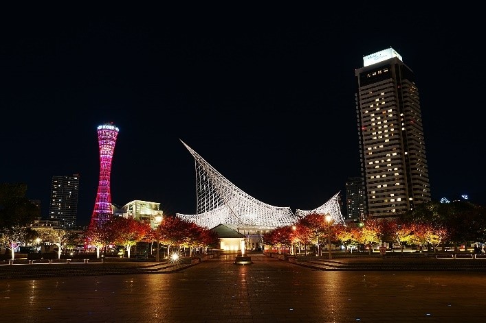 ライトアップ写真