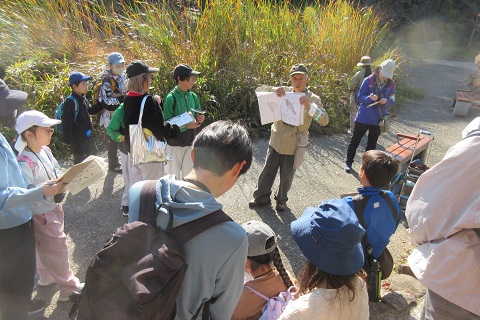 R7親子野鳥観察①