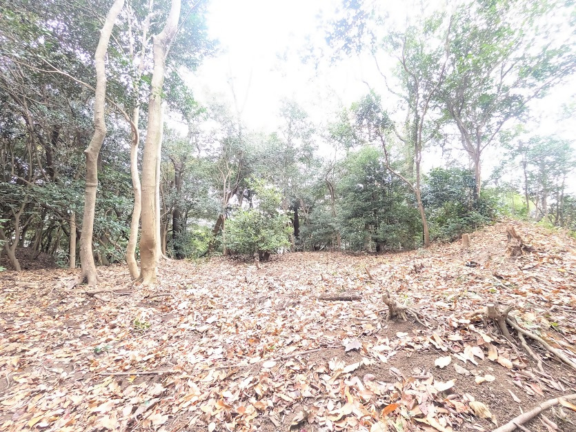 作業後、山城遺構がひらけた様子