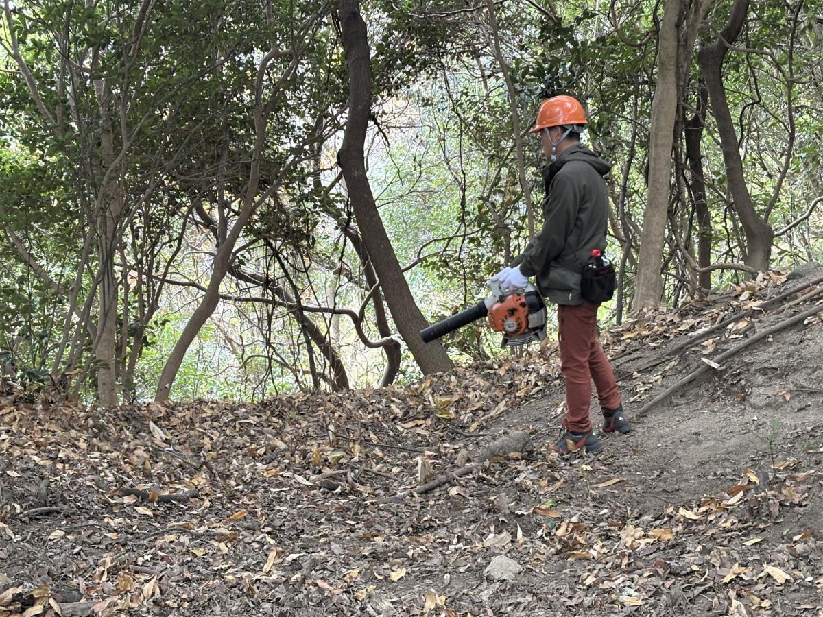 堆積物をブロワーで除去