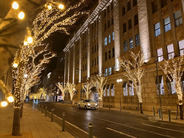 明石町筋の街路樹イルミネーションの写真