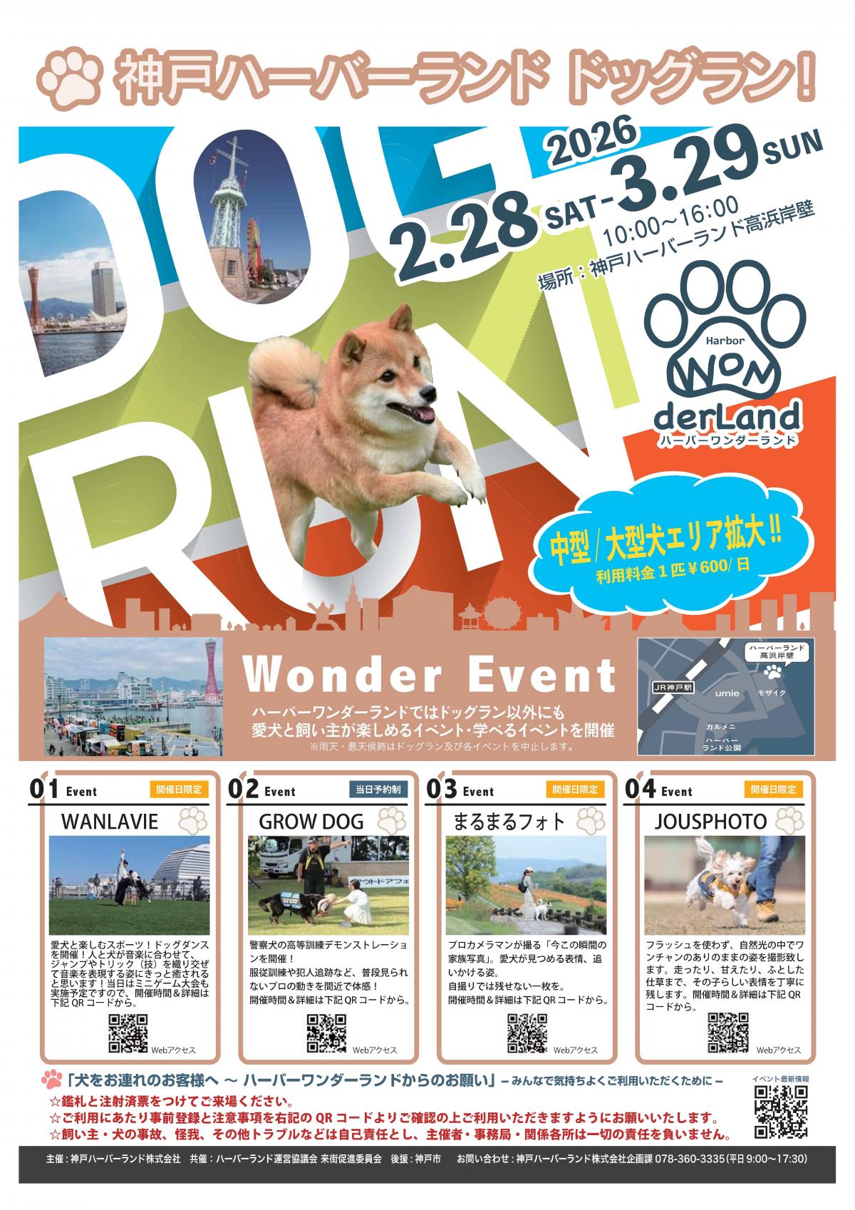 ワンダーランド