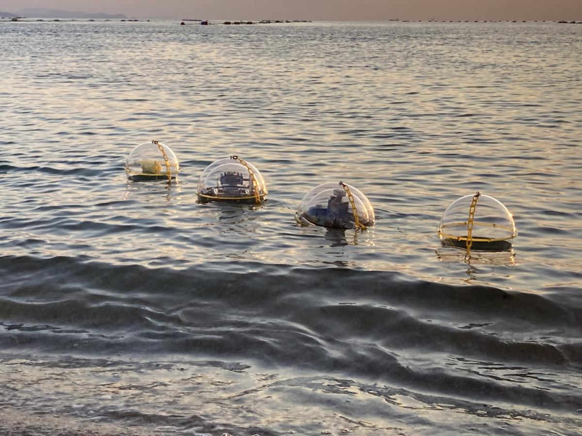 Yellow Duck株式会社