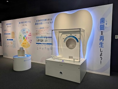 体を一杯動かして再生医療を学ぼう