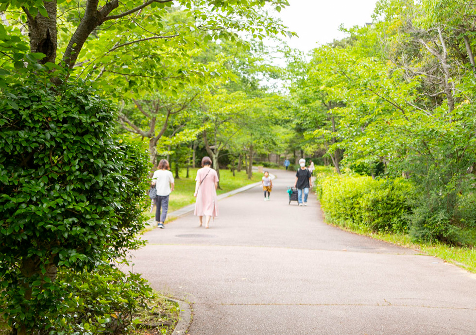 写真：緑豊かな歩道