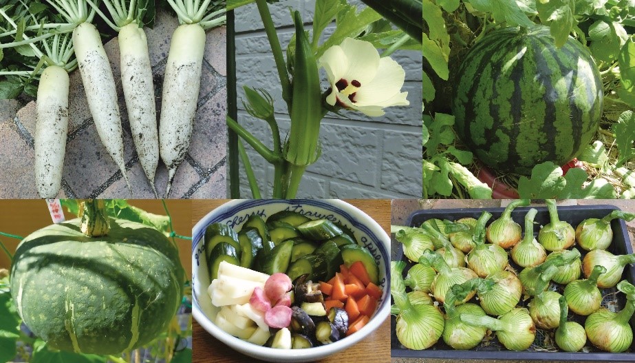 都市局長プライベート