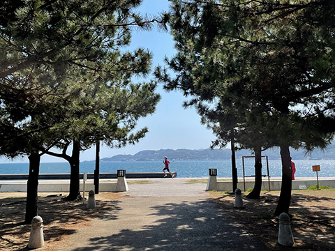 写真:海の近くの公園でランニング