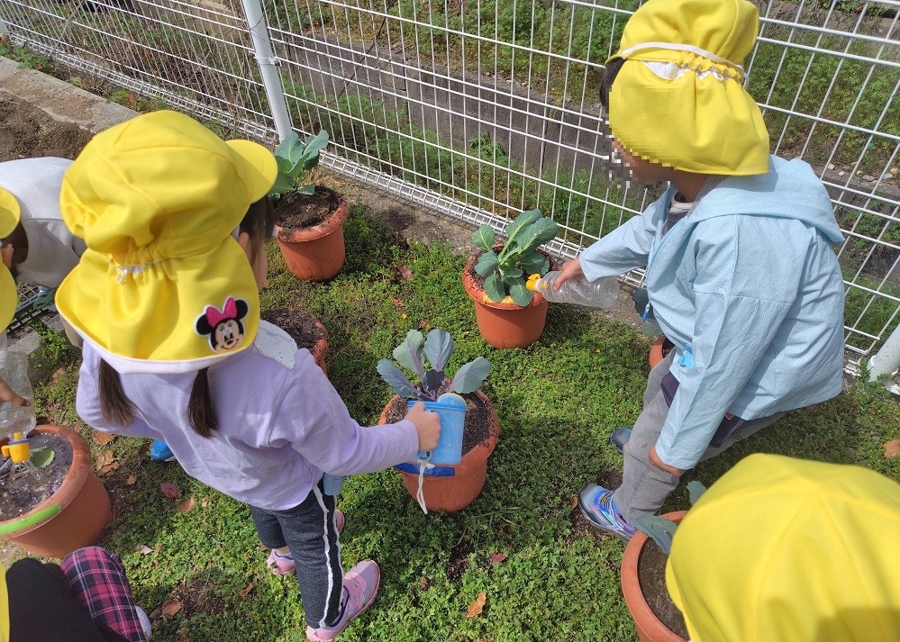 岩岡幼稚園の様子