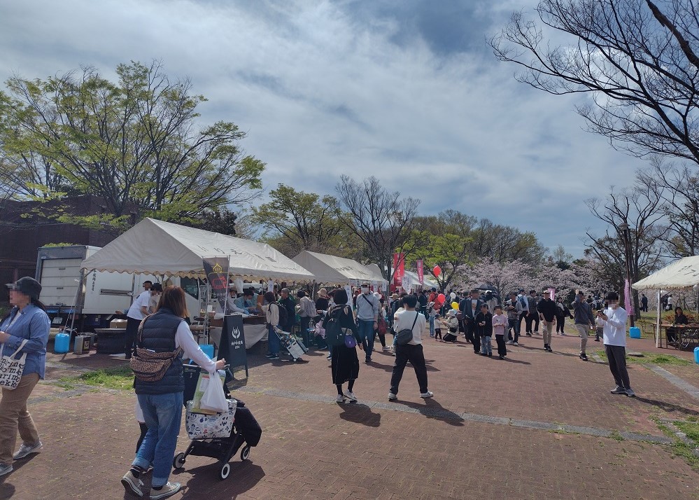 桜まつりの様子