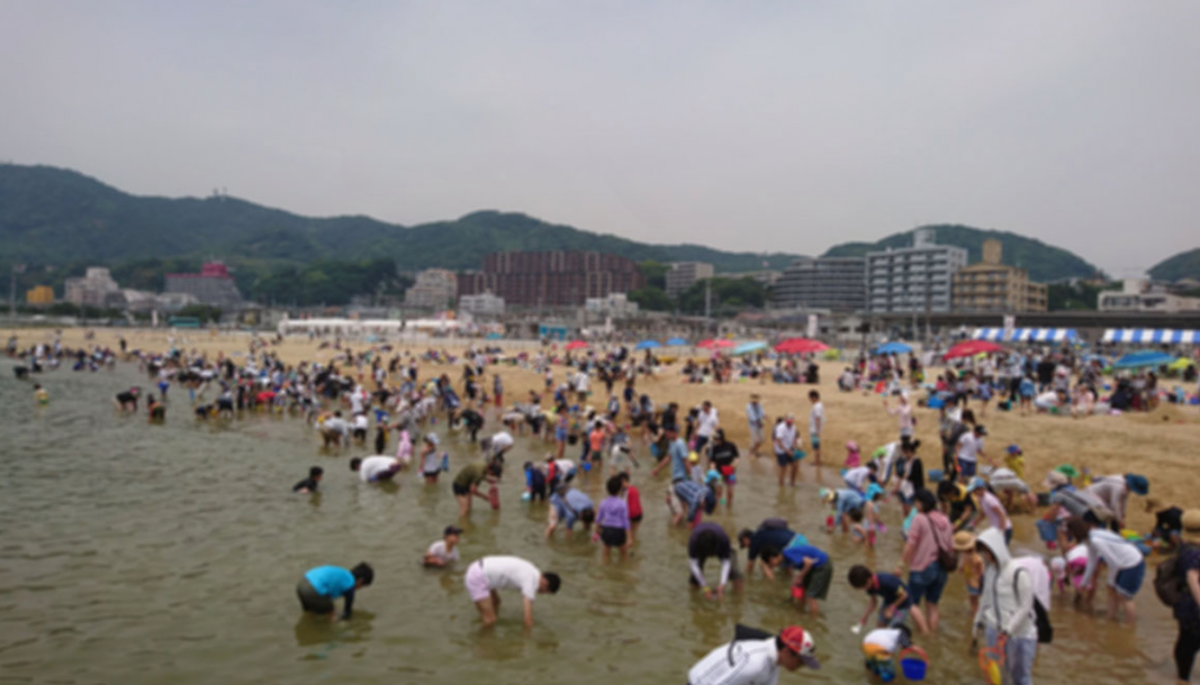 潮干狩りの様子