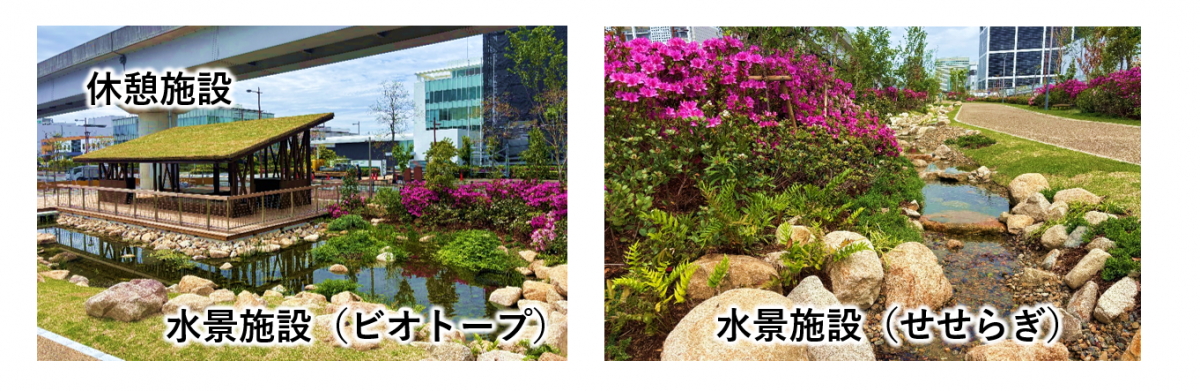 画像（中央緑地軸北）