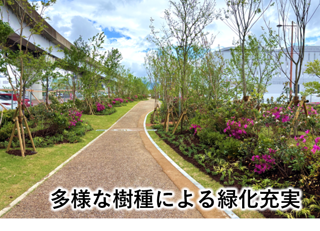 画像（中央緑地軸南）0501
