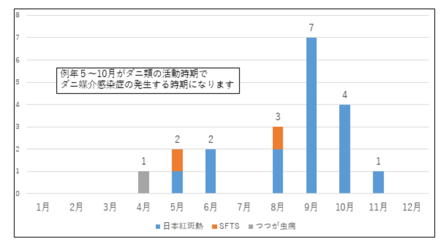 棒