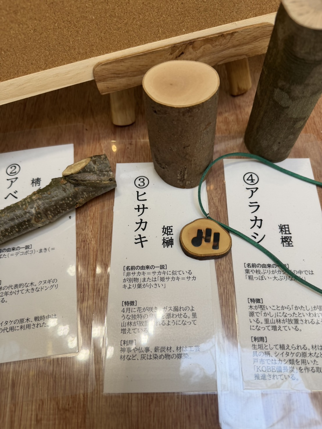 川の音ベース写真⑤