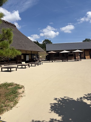 あいな里山公園1枚目