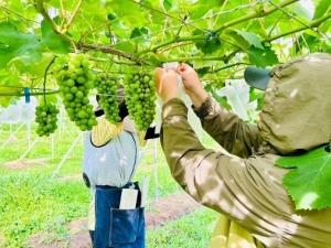 果樹の就農学校