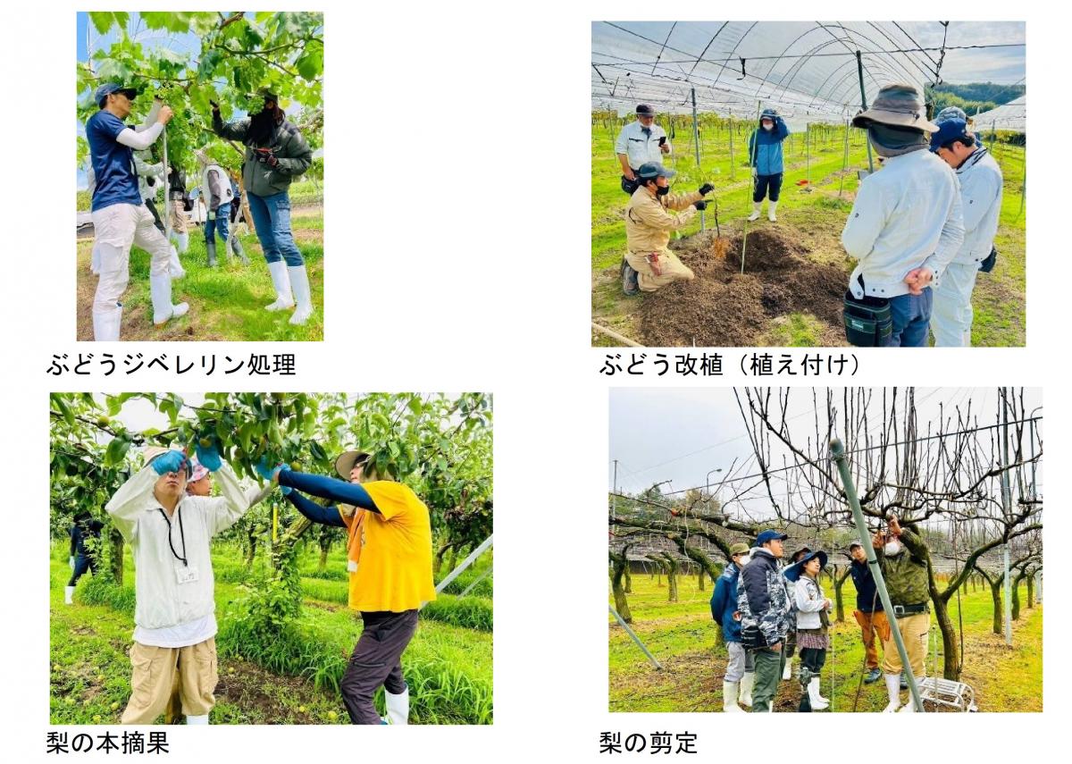 研修の様子
