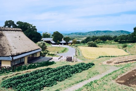 山や畑